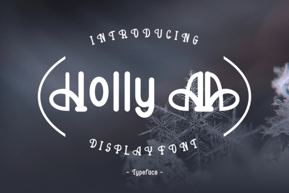 Holly Aa: A Distinctive Display Font for Editorial Impact
