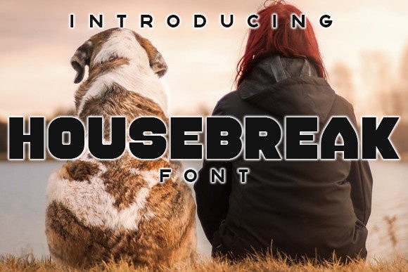Housebreak: A Display Font for Editorial Impact