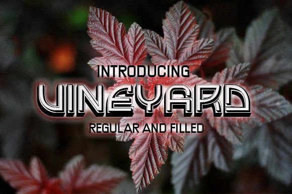 Vineyard: A Stylish Multi-3D Display Typeface for Bold Brand Moments